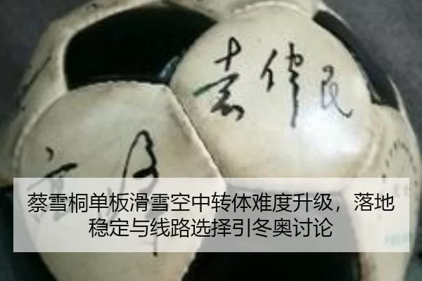 蔡雪桐单板滑雪空中转体难度升级，落地稳定与线路选择引冬奥讨论